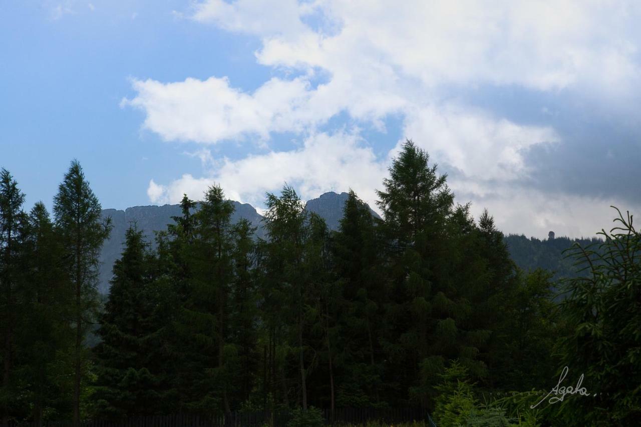Apartament Krolewski Superior Z Sauna Zakopane Exteriér fotografie