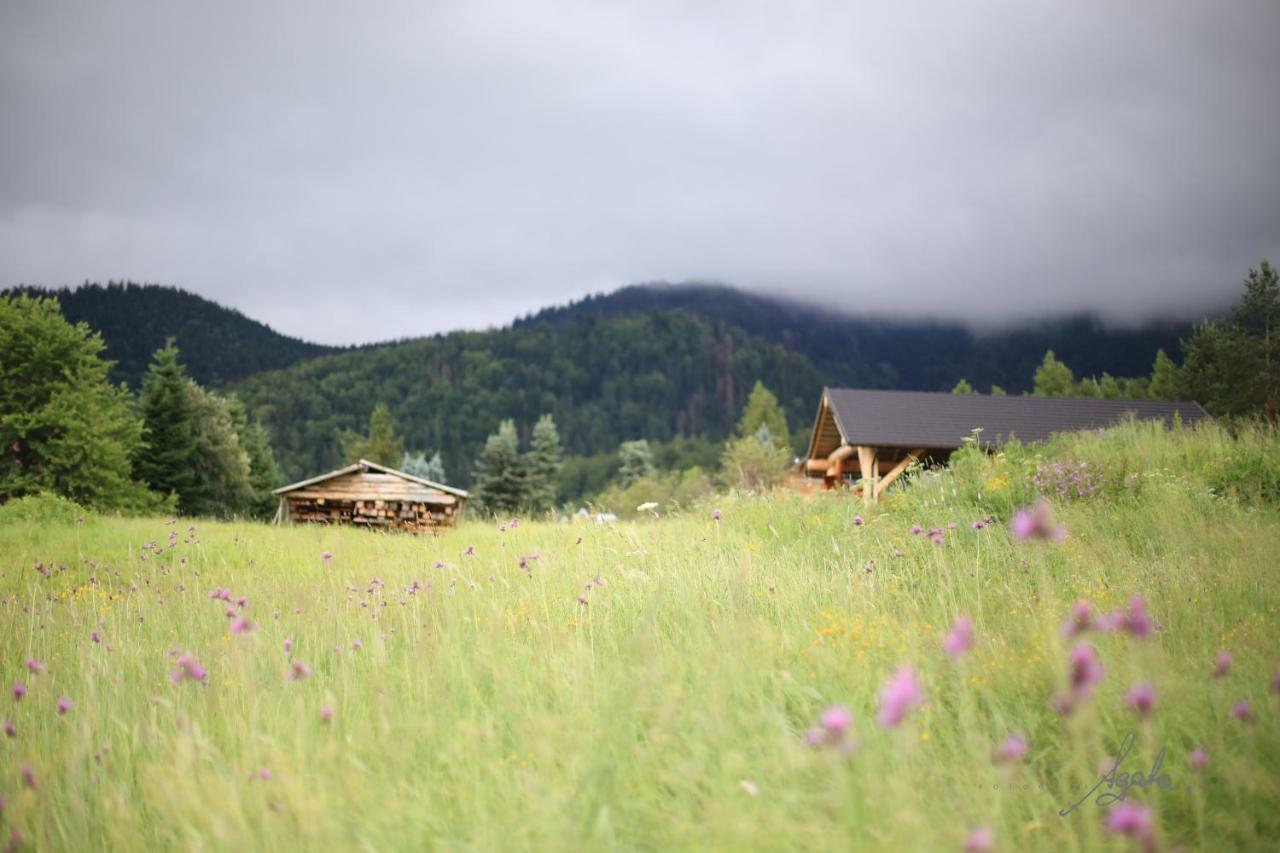 Apartament Krolewski Superior Z Sauna Zakopane Exteriér fotografie